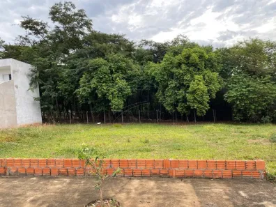 Lote/Terreno à venda, 250m² no Sérgio Roim (Padre Nóbrega), Marília