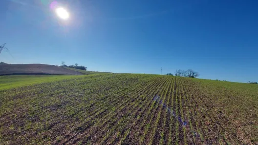 Fazenda/Sítio com 1 Quarto à venda, 100m² no Bateias, Campo Largo