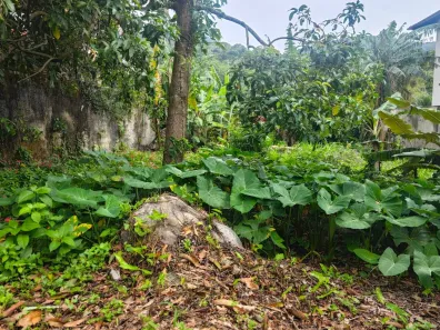 Lote/Terreno à venda, 425m² no Toque-Toque Pequeno, São Sebastião