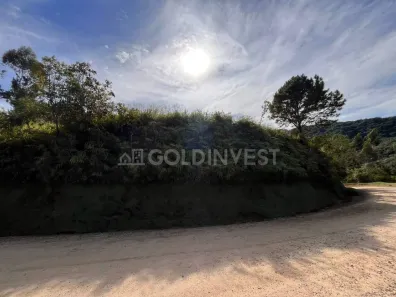 Lote/Terreno à venda, 41216m² no Pomerânia, Guabiruba