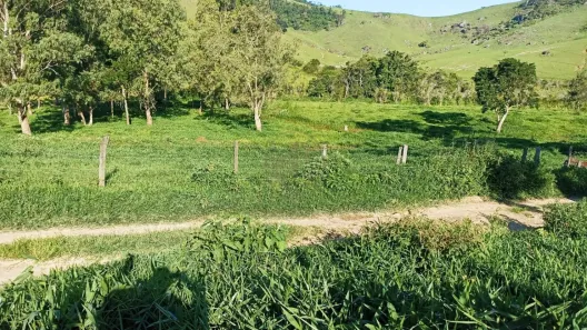 Fazenda/Sítio com 1 Quarto à venda, 100m² no Espírito Santo, Paraibuna