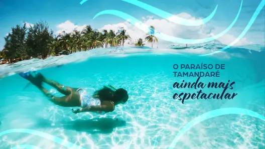 Apartamento com 1 Quarto à venda, 20m² no Tamandaré, Tamandaré