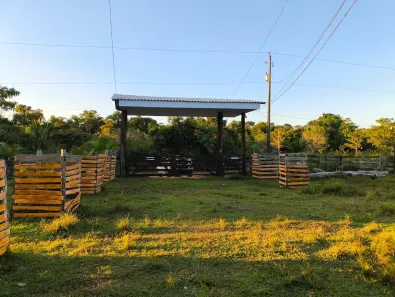 Fazenda/Sítio com 3 Quartos à venda, 999999999m² no , Canutama