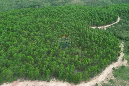 com 1 Quarto à venda, 1880000m² no , Inimutaba