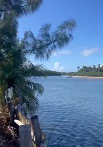 Lote/Terreno com 1 Quarto à venda, 1m² no ,