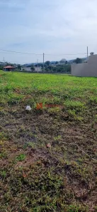 Lote/Terreno à venda, 155m² no Paulista, Londrina
