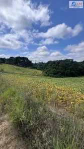 Lote/Terreno à venda, 14297m² no Centro, Balsa Nova