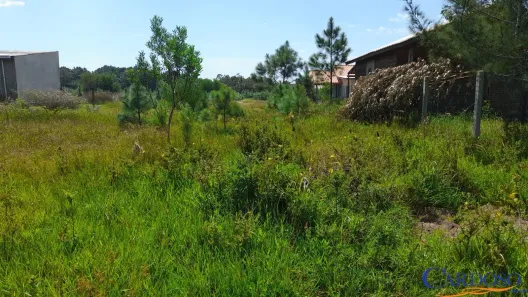 Lote/Terreno à venda, 290m² no Balneário Atlântico, Arroio do Sal