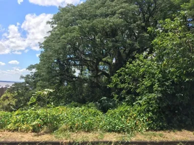 Lote/Terreno à venda, 671m² no Tristeza, Porto Alegre