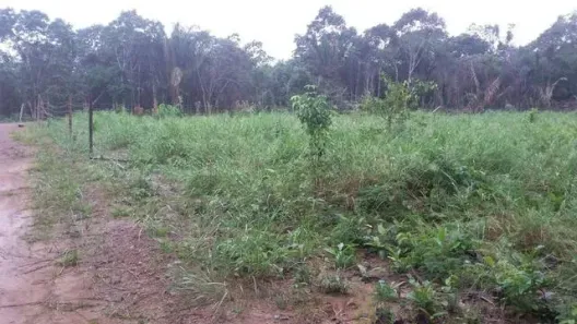 Lote/Terreno à venda, 6000m² no , Iranduba