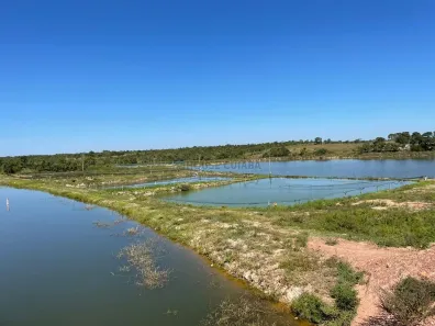 com 3 Quartos à venda, 200m² no Área Rural de Cuiabá, Cuiabá