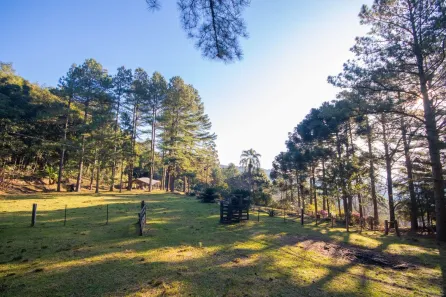 Fazenda/Sítio à venda, 28000m² no CENTRO, Morro Reuter