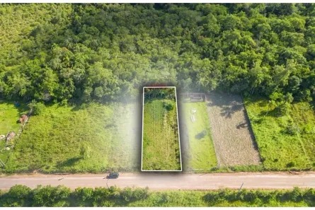 Lote/Terreno à venda, 704m² no , Pareci Novo