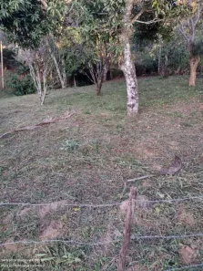 Lote/Terreno à venda, 3760m² no Cuiaba, Nazaré Paulista