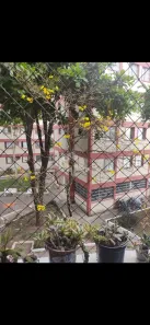 Apartamento com 3 Quartos à venda, 65m² no Vila Constança, São Paulo
