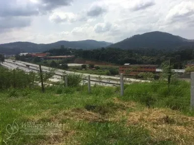 Ponto Comercial para alugar, 8000m² no Parque Edu Chaves, São Paulo
