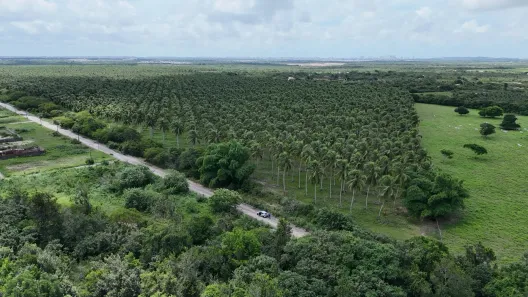 Fazenda/Sítio à venda, 1400000m² no , São José de Mipibu