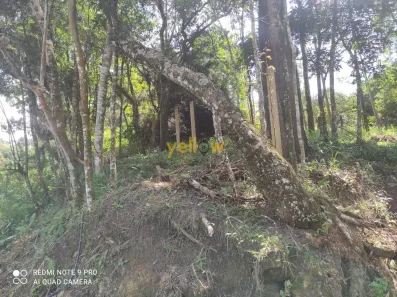 Lote/Terreno à venda, 3333m² no Vila Silva Teles, São Paulo
