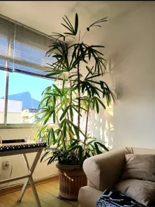 Apartamento com 3 Quartos à venda, 87m² no Leblon, Rio de Janeiro