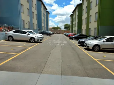 Apartamento com 2 Quartos à venda, 60m² no Jardim Paulicéia, Campinas
