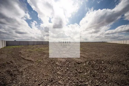 Lote/Terreno para alugar, 155000m² no São Luis, Canoas