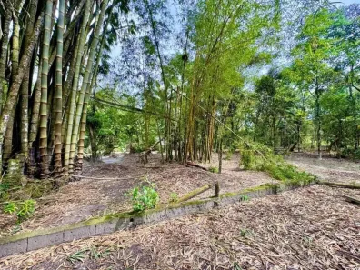 Lote/Terreno à venda, 6639m² no Gaivota (Interior), Itanhaém