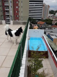 Cobertura com 4 Quartos à venda, 218m² no Planalto, São Bernardo do Campo