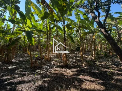 Fazenda/Sítio com 5 Quartos à venda, 89000m² no , Touros