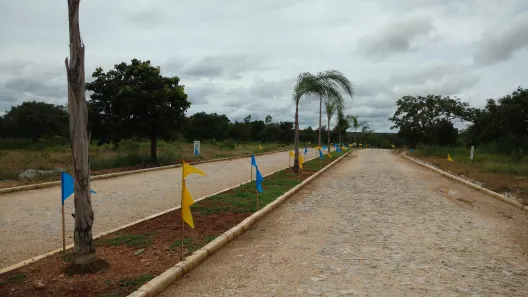 Lote/Terreno à venda, 1000m² no , Jequitibá
