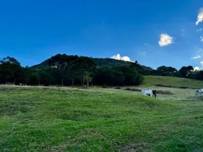 Fazenda/Sítio com 3 Quartos à venda, 20000m² no , Bom Repouso