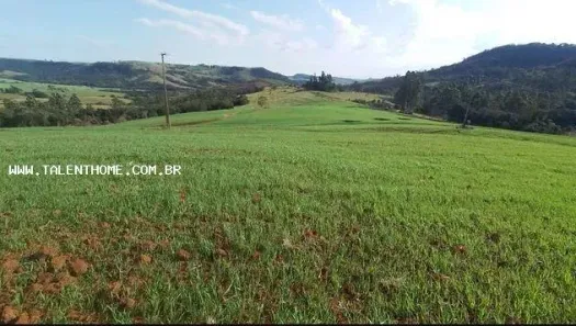 Lote/Terreno à venda, 212960m² no , Tamarana