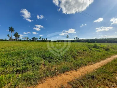 Fazenda/Sítio à venda, 148588m² no Área Rural de Iacanga, Iacanga