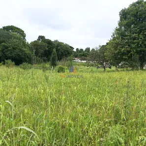 Fazenda/Sítio à venda, 20000m² no Contenda, São José dos Pinhais