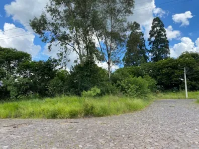 Lote/Terreno à venda, 220m² no Campestre, São Leopoldo