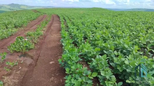 Fazenda/Sítio com 1 Quarto à venda, 13440m² no , Engenheiro Beltrão