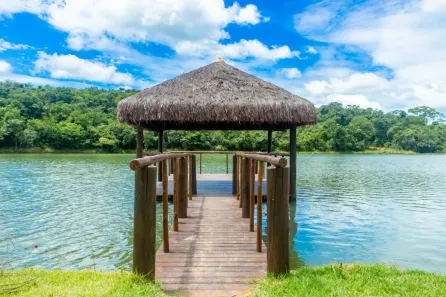 Fazenda/Sítio com 7 Quartos à venda, 245000m² no , Baldim