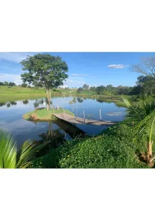 Fazenda/Sítio com 3 Quartos à venda, 4210800m² no Centro, Paranaíba