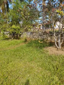 Fazenda/Sítio com 3 Quartos à venda, 250m² no , Terezópolis de Goiás