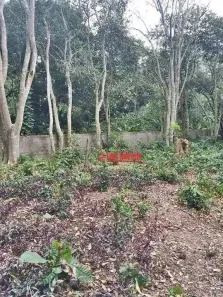 Lote/Terreno à venda, 1118m² no Várzea das Moças, Niterói