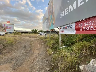 Lote/Terreno para alugar, 782m² no Rio Maina, Criciúma