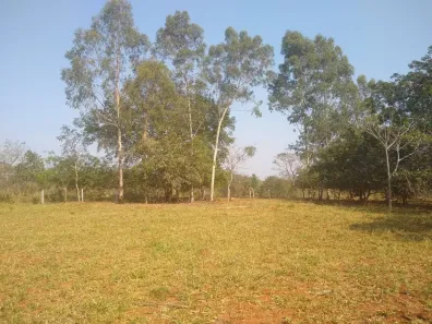 Fazenda/Sítio à venda, 140000m² no Centro, Terenos