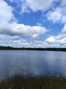Fazenda/Sítio com 8 Quartos à venda, 3800000m² no , Canguaretama