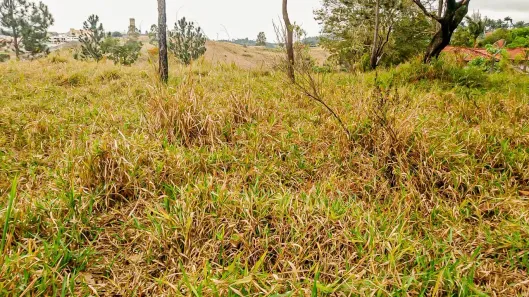 Lote/Terreno à venda, 1139m² no Soares, Jarinu