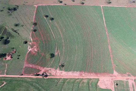 Fazenda/Sítio à venda, 242000m² no , Pontes Gestal