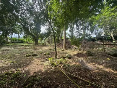 Fazenda/Sítio à venda, 12000m² no Vargem Grande, Rio de Janeiro