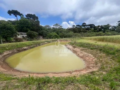Fazenda/Sítio com 1 Quarto à venda, 40m² no Colônia Murici, São José dos Pinhais