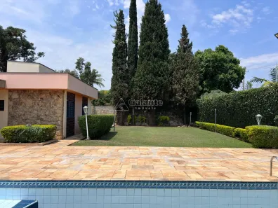 Imóvel Comercial com 4 Quartos para venda ou aluguel, 428m² no Jardim Eulina, Campinas