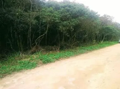 Lote/Terreno à venda, 5200m² no , Itanhaém