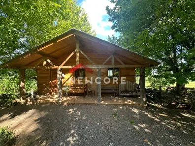 Fazenda/Sítio com 6 Quartos à venda, 300m² no Centro, São Francisco de Paula