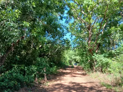 Fazenda/Sítio à venda, 96484000m² no Estância Vargem Bonita, Senador Canedo